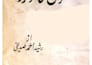 provide urdu book translation service